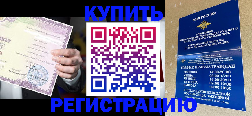 временная регистрация собственник в Камышине